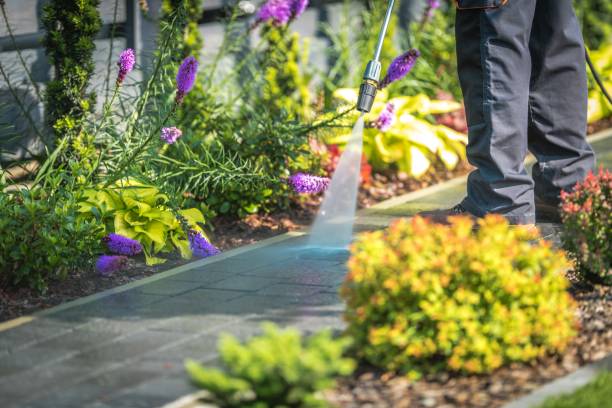 Greenup, KY Pressure Washing Services Company